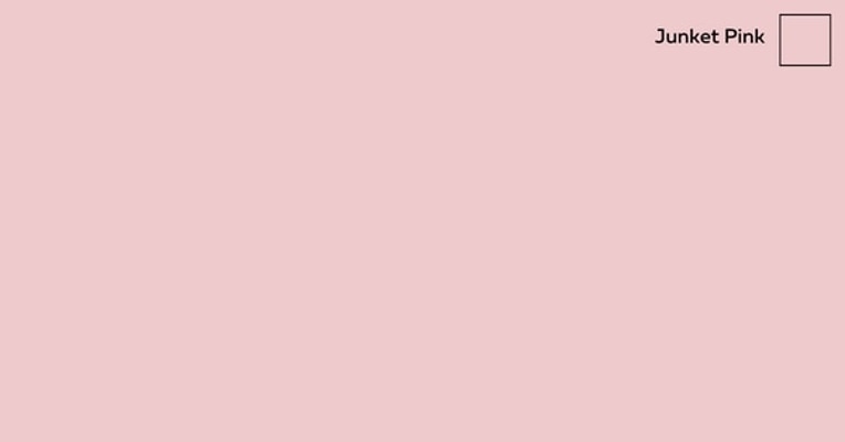 Pink Colour Range - Haymes Paint Online